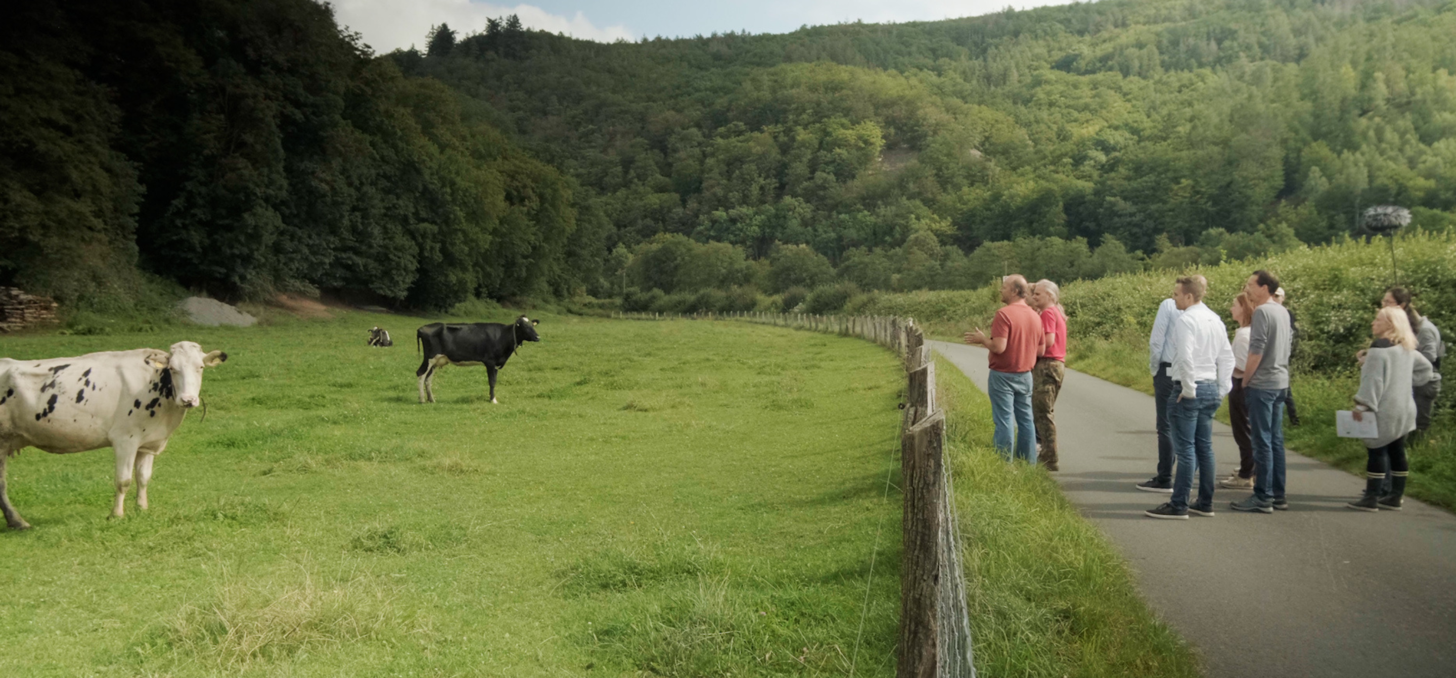 2 Kühe auf Weide mit Verbrauchern und Landwirten hinterm Zaun